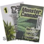 Marijuana Seeds Northern Light feminised